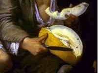 Murillo